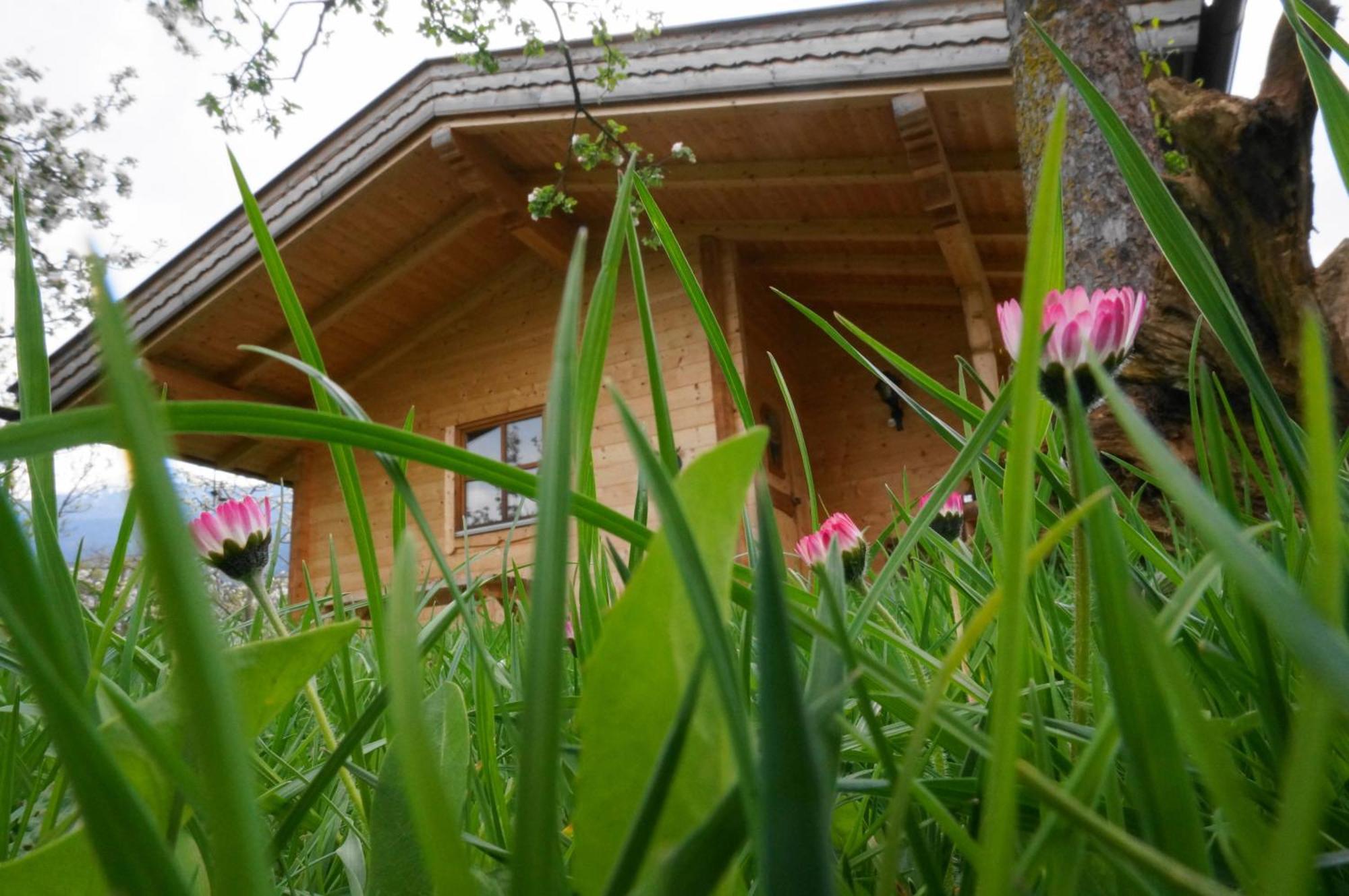 Ferienhaus Mandlhof Weer Exteriör bild