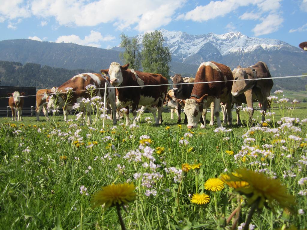 Ferienhaus Mandlhof Weer Exteriör bild